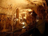 /album/galerie-foto/images-9-jpg1/